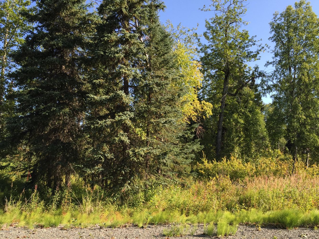 63767 Oil Well Rd, Ninilchik, AK 99639